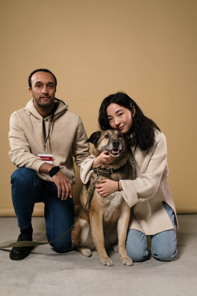 Couple kneeling with their shepherd-cross dog