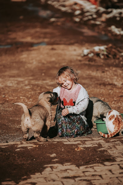 Little girl laughing with a puppy and a kitten