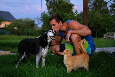 Man kissing his senior dog in the garden while a ginger cat watches